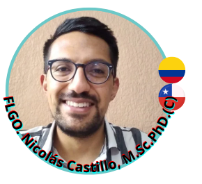 Castillo N